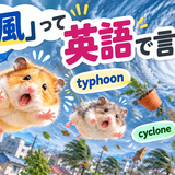台風に飛ばされるハムスター