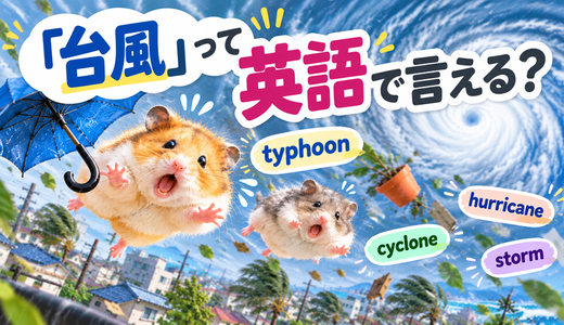 「台風」って英語で言える？typhoonとhurricaneの違いや便利な英語表現を紹介