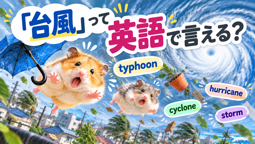 台風に飛ばされるハムスター