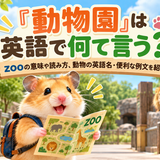 ガイドブックを持って動物園にいるハムスター